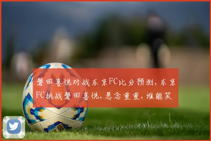 磐田喜悦对战东京FC比分预测,东京FC挑战磐田喜悦,悬念重重,谁能笑到最后
